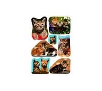 Herma Autocollants 'Photos de chats' 3527 – 3 planches (21 étiquettes), papier multicolore, permanent