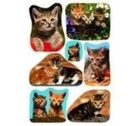 Herma Autocollants 'Photos de chats' 3527 – 3 planches (21 étiquettes), papier multicolore, permanent