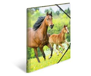 HERMA Lot de 3 chemises A3 en plastique pour enfants avec motif animal, bande élastique, rabats intérieurs et impression intérieure pour garçons et filles