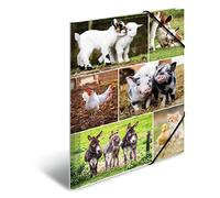HERMA Lot de 3 chemises de collection A4 - En carton - Avec motif animal - Avec élastique - Rabats intérieurs et impression intérieure - Pour garçons et filles