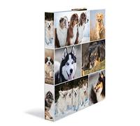 HERMA Lot de 3 classeurs à anneaux A4 avec motif animal - Format A4 - Fin - 4 anneaux - Largeur : 35 mm - Pour enfants - Coloré - Avec impression intérieure - Pour garçons et filles