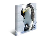 HERMA Lot de 3 dossiers A3 pingouin pour enfants - En plastique - Avec motif animal - Aspect brillant - Élastique - Rabat intérieur et impression intérieure - Pour garçons et filles