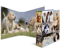 HERMA Ordner A4 Hunde