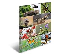 HERMA Porte-documents format A3 pour enfant en carton avec motif animal, bande élastique, rabats intérieurs et impression intérieure pour garçons et filles