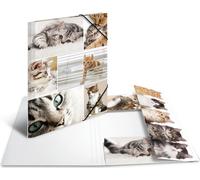 HERMA Sammelmappe A3 Katzen Pappe