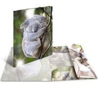 HERMA Sammelmappe A4 Glossy Koala Polypropylen
