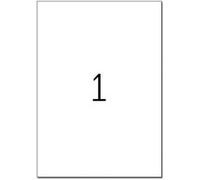 HERMA Special Power Labels - Papier - mat - adhésif extra fort - blanc - A4 (210 x 297 mm) 25 feuille(s) étiquettes Blanc G