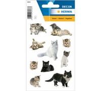 Herma Sticker déco « Photos de chat »