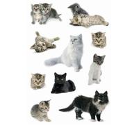 HERMA Stickers déco Photos de Chats - 3 planches (21 étiquettes) - Autocollants papier