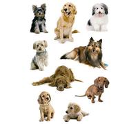 HERMA Stickers DECOR "Photos de chiens"