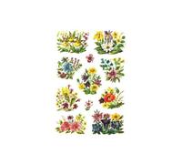 Herma ?tiquettes de d?coration decor stiefm?tterk?pfe 3818