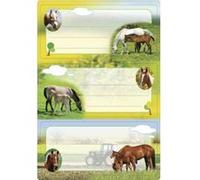 HERMA 5568 Lot de 6 étiquettes pour livre d'étiquetage chevaux - 76 x 35 mm - Autocollantes - Lignées - Pour l'école, les enfants, les filles, les garçons - Multicolore