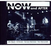 Hermann Martlreiter - Now and After