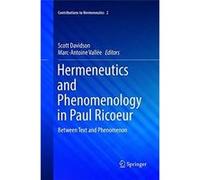 Hermeneutics and Phenomenology in Paul Ricoeur - Springer International Publishing AG - Springer International Publishing AG - Livre en Anglais - Paperbac Springer International Publishing AGSpringer 