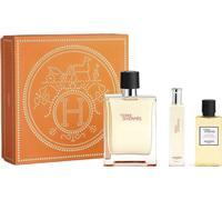 Hermes Terre D`Hermes Eau de Toilette 100ml + 15ml & Shower Gel 40ml