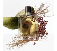 Hermès Terre d’Hermès Eau Intense Vétiver Eau de Parfum 100