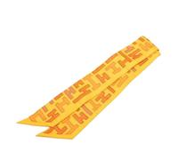 Hermès Vintage, Femme, Pre-owned, Orange, Taille: ONE Size Twilly Scarf Pre-owned