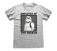 HEROES INC EUROPE B.V. T Shirt à Manches Courtes Star Wars Employee of The Month Gris Unisexe