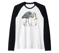 Héron Bleu attrapant Les Poissons Observateur d'oiseaux Manche Raglan