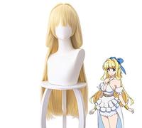 Héros prudent le héros est maîtrisé mais trop prudent Ristarte femmes longue perruque de Cosplay résistant à la chaleur perruque de cheveux synthétiques coût 461P