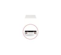Herpa Accessoire Pare-Chocs arrière Schmitz, 8X Blanc, échelle 1:87, Miniature en Plastique
