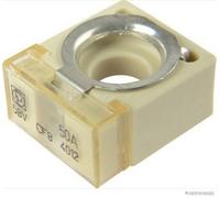 HERTH+BUSS ELPARTS 50295880 Fusible CF, 50 A Compatible Avec SCHMITZ CARGOBULL