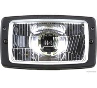 HERTH+BUSS ELPARTS 81658028 Phare Principal Gauche, Droit, H4, T4W