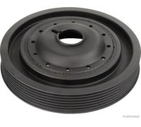 Herth+Buss Jacoparts J1091010 Poulie De Vilebrequin Compatible Avec Renault