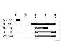 Herth+Buss ELPARTS Interrupteur d'allumage/démarreur 70596029
