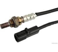 HERTH+BUSS JAKOPARTS J1473018 Sonde lambda pour FORD FOCUS (DAW, DBW) KA (RB)