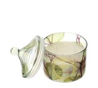Hervit Bougie parfumée Alkekengi verte en verre changeant avec couvercle parfum Oud avec boîte cadeau 2 couleurs - décoration maison, bougie parfumée, bougie décorative - Ø9,5 x H12 cm 260 g