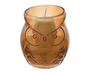 Hervit Bougie parfumée en verre chouette ambre, parfum oud, avec boîte cadeau, décoration maison, bougie décorative, bonbonnière cadeau graduation, parfum - Ø8 x h9 cm - 140 g