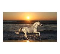 HERW Grande Affiche Mer Coucher De Soleil Paysage Toile Peinture Cheval Blanc Au Galop Affiches Salon Salle À Manger Mur Art Décoration Peinture Photos