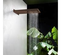 Herzbach Design iX PVD Douche de tête, 2 jets, 21.661600.2.39,