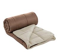 Herzberg, Couette en Microfibre Bicolore 200x200cm Marron HG2020BCO-BRU