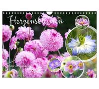 Herzensblumen (Wandkalender 2027 DIN A4 quer), CALVENDO Monatskalender: Eine liebevolle Hommage an die Schönheit des Sommers: zarte Blüten, leuchtende Farben und stimmungsvolle Blumenporträts