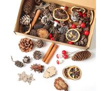 HERZONE Couronne de l'Avent décorative - 95 pièces - Pour le bricolage - Couronne de l'Avent avec pin oléagineux, tranches d'orange, limaces à la cannelle, bouleau, étoile, champignons, baies (C)