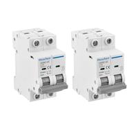 Heschen Lot de 2 disjoncteurs miniatures DC HSB6C-DC, 2 pôles, DC500V 10A, Disjoncteur de puissance photovoltaïque, pour système photovoltaïque solaire, panneaux solaires, système de treillis (10A)