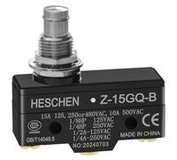 Heschen Micro-interrupteur à usage général Z-15GQ-B, plongeur à montage sur panneau, OP moyen, 3 bornes à vis, courant nominal 15A