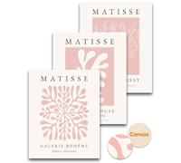 HesenDot Lot de 3 affiches murales abstraites sur toile sans cadre, rose Matisse, 30 x 40 cm, impressions botaniques bohèmes, décoration d'intérieur minimaliste et esthétique pour salon, chambre à