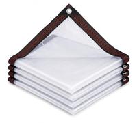 HESIOL Bâche Transparente pour Extérieur avec Œillets, 1,5 x 2,5 m | Gardez Serre, Plantes et mobilier à l’abri sans Perdre la lumière; PE imperméable, Simple à Fixer par Les œillets.