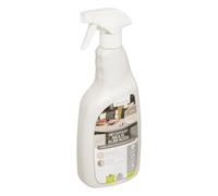 Hespéride - Spray Nettoyant Multi-Surfaces 75 cl - Séchage Rapide, Anti-Taches - pour Mobilier de Jardin, Métal, Pierre, Résine