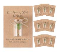 Hestya 20 Lots de Porte-Bonheur 20 Véritable Trèfle à Quatre Feuilles dans Un Bocal en Verre et 20 Cartes Porte-Bonheur Petit Cadeau Porte-Bonheur Exauce-Vœux pour Noël et Les Anniversaires