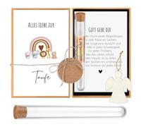 Hestya Cadeau d'Argent pour Baptême Cadeaux de Baptême pour Filles Garçons Emballage d'Argent avec Tube à Essai Ange en Bois Carte pour Naissance Argent Coupon Graines(Arc-en-Ciel Animal)