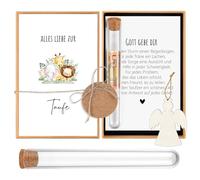 Hestya Cadeau d'Argent pour Baptême Cadeaux de Baptême pour Filles Garçons Emballage d'Argent avec Tube à Essai Ange en Bois Carte pour Naissance Argent Coupon Graines(Animal)