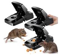 Hestya Piège à Rats XXL (21 cm) - Lot de 3 pièges à Ressort Extra Larges sans Poison - Piège à Rats réutilisable en Plastique et Acier Robustes pour la Maison, la Cave, Garage, Le Jardin et la Grange