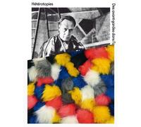 Hétérotopies - des avant-gardes dans l'art contemporain Des avant-gardes dans l'art contemporain - Pierre-Damien Huyghe - Musees De Strasbourg - broché - Beau livre