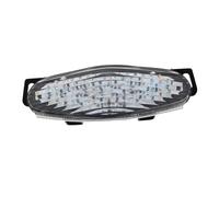 HETEVSCCK Feu Stop Moto pour pour Ninja 650R ER-6N ER-6F ER6N ER6F 2009 2010 2011 Feu Arrière De Moto À LED Intégré(Blanc)