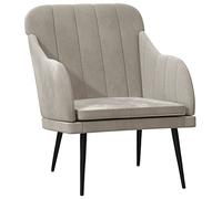 HETFTJN Fauteuil lounge gris clair 63 x 76 x 80 cm - Structure en métal et velours rembourré - Design moderne - Pour salon, chambre à coucher, balcon