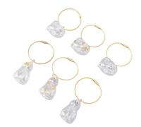 Hethlif Porte-clés en Poils de Chat, 6 Pièces, Capsule Souvenir Commémorative pour Animaux de Compagnie, avec Bouteille Transparente pour Les Amoureux des Animaux de Compagnie,